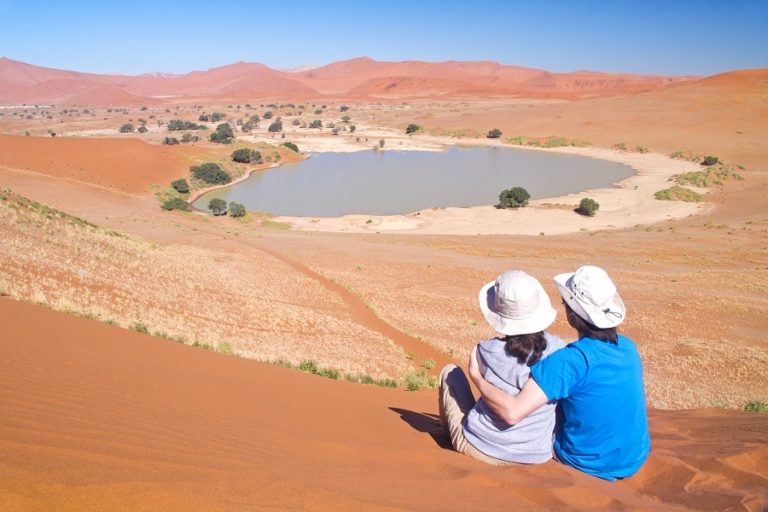 paysage sauvage de Namibie avec dunes et ciel bleu