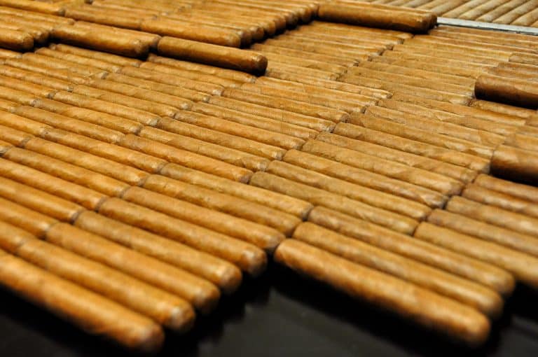 Cave à cigares élégante dans un bureau moderne avec cigares exposés
