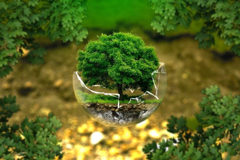 Professionnels engagés pour la protection de l'environnement et la gestion des ressources naturelles