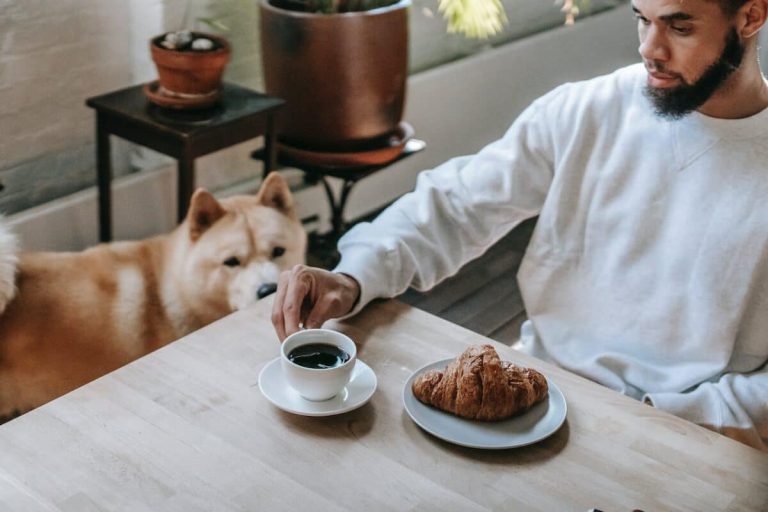 Chien assis calmement pendant un repas avec son maître