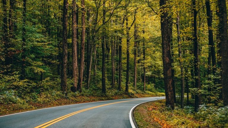 Futur conducteur étudiant le code de la route avec des livres et un ordinateur