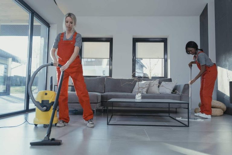 Choisir le statut juridique pour une entreprise de nettoyage