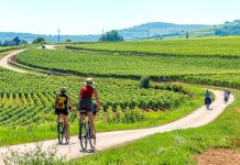 Sillonner la Bourgogne à vélo entre châteaux et vignobles d’exception À travers les vignobles et châteaux itinéraires cyclistes en Bourgogne