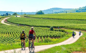 Sillonner la Bourgogne à vélo entre châteaux et vignobles d’exception À travers les vignobles et châteaux itinéraires cyclistes en Bourgogne