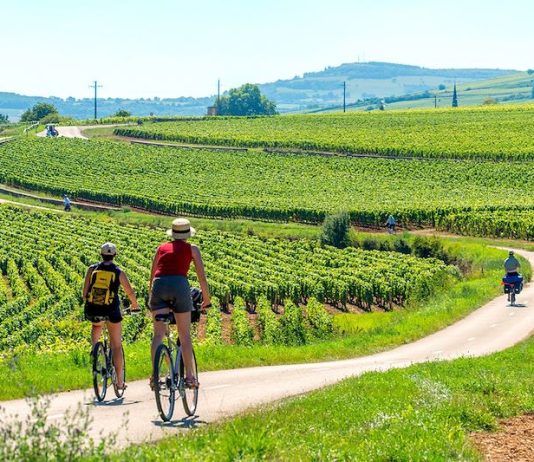À travers les vignobles et châteaux itinéraires cyclistes en Bourgogne