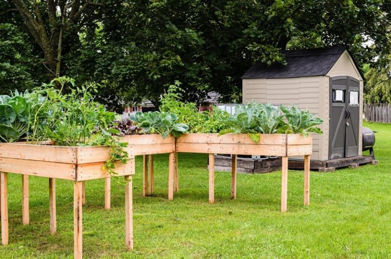 Comment réussir le choix d’un abri de jardin