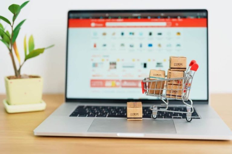 solutions de paiements intégrés