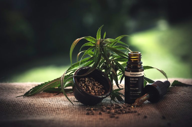 Boutique de CBD moderne avec produits variés et ambiance accueillante