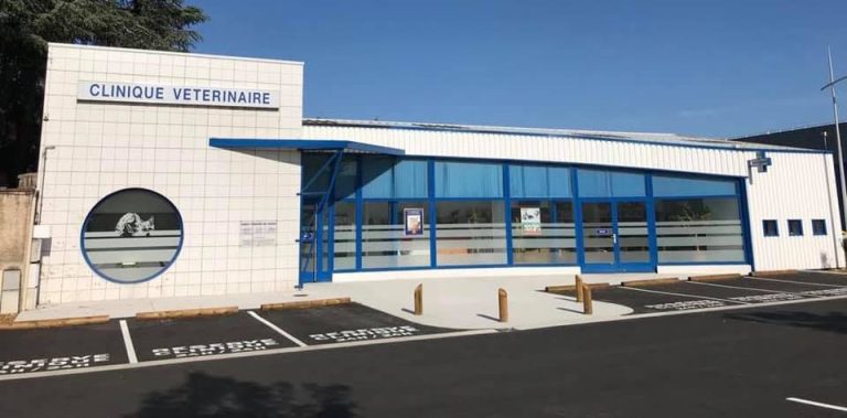 Équipe dynamique de la clinique vétérinaire Saint Just au travail