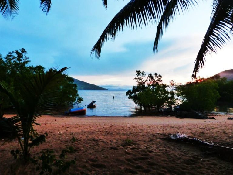 Découverte des paysages uniques de Madagascar avec une agence locale