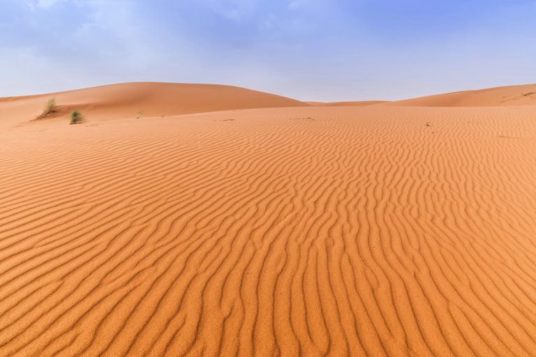 visiter le Sahara marocain