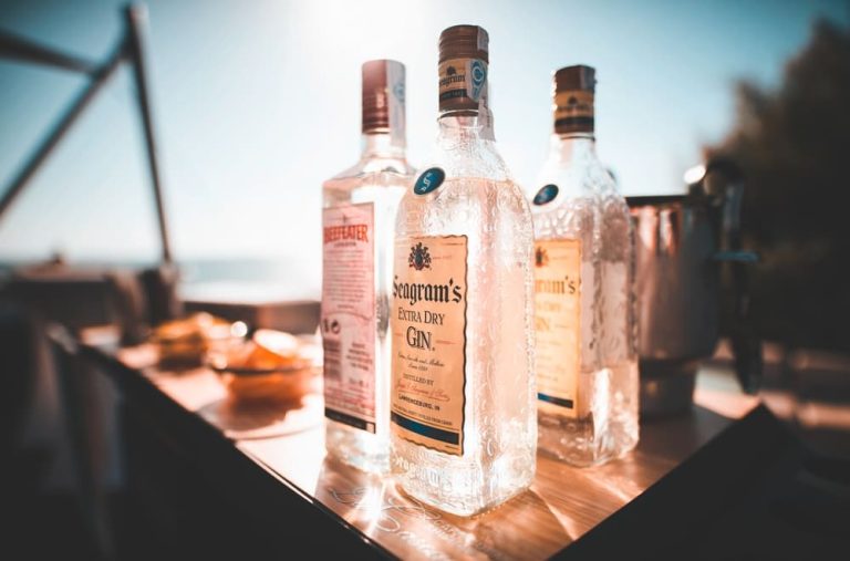 Différents types de gin avec leurs caractéristiques et saveurs