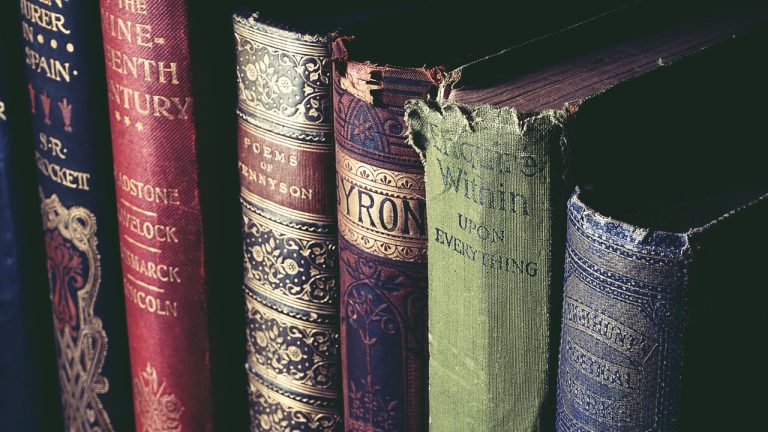 Bibliothèque maison bien organisée avec des livres soigneusement rangés