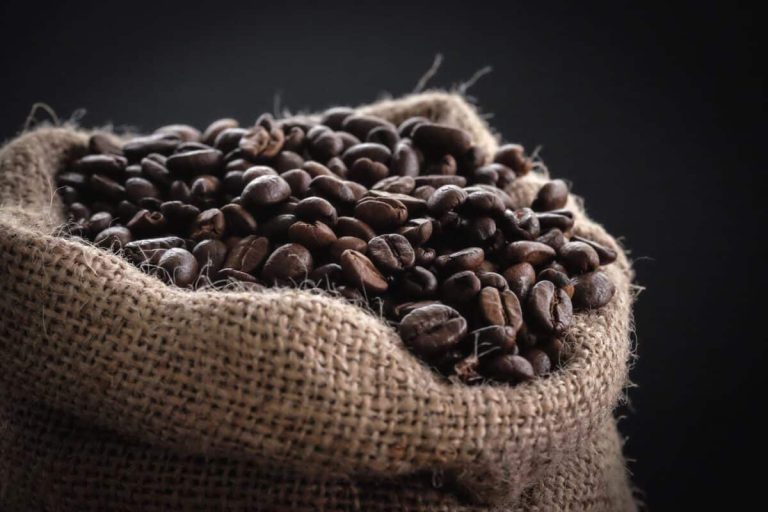 graines de café