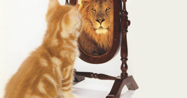 un miroir