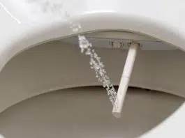 wc japonais